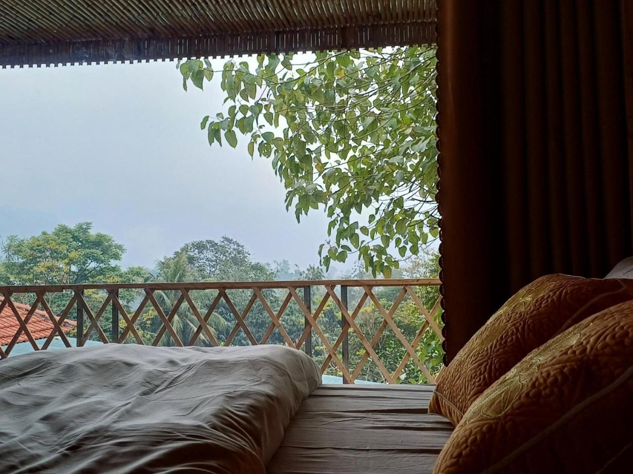 Homestay Hill House *